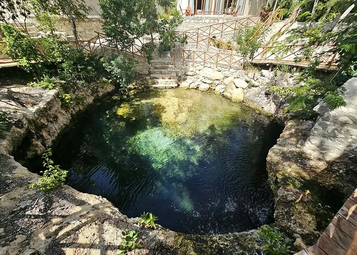 Private Pool - Cenote Free *