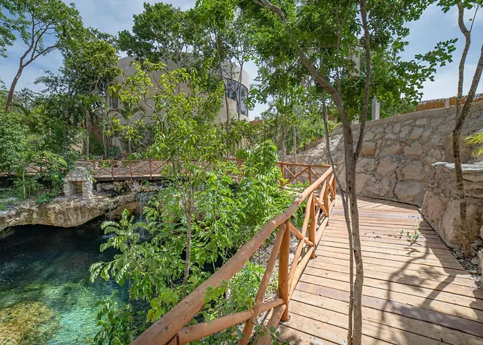 Private Pool - Cenote Free *